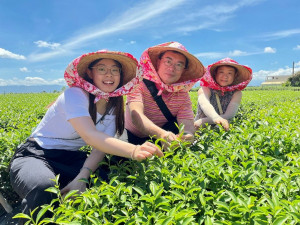 參山風管處邀大眾報名一日製茶師茶鄉體驗營。（參山風管處提供）