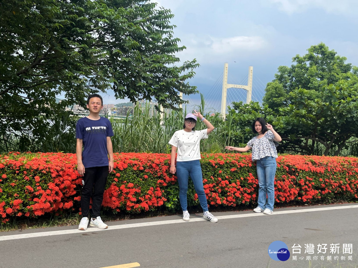 盛夏風光暢遊河濱公園　三重淡水河畔仙丹花璀璨盛開 台灣好新聞 第2張