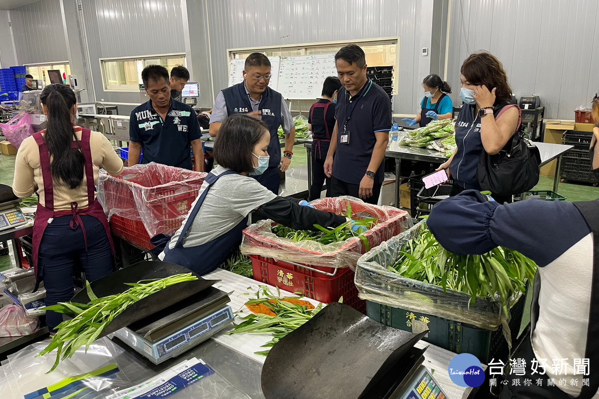 凱米颱風來襲，桃園市政府農業局關心農漁蓄牧場域安全，預先做好各項防颱措施。