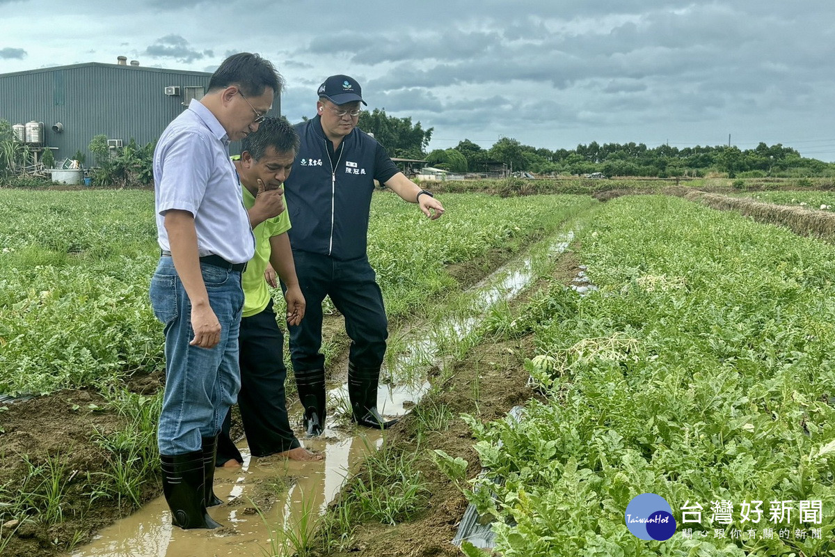 凱米颱風來襲造成農損，桃市府農業局長陳冠義前往各區勘災。