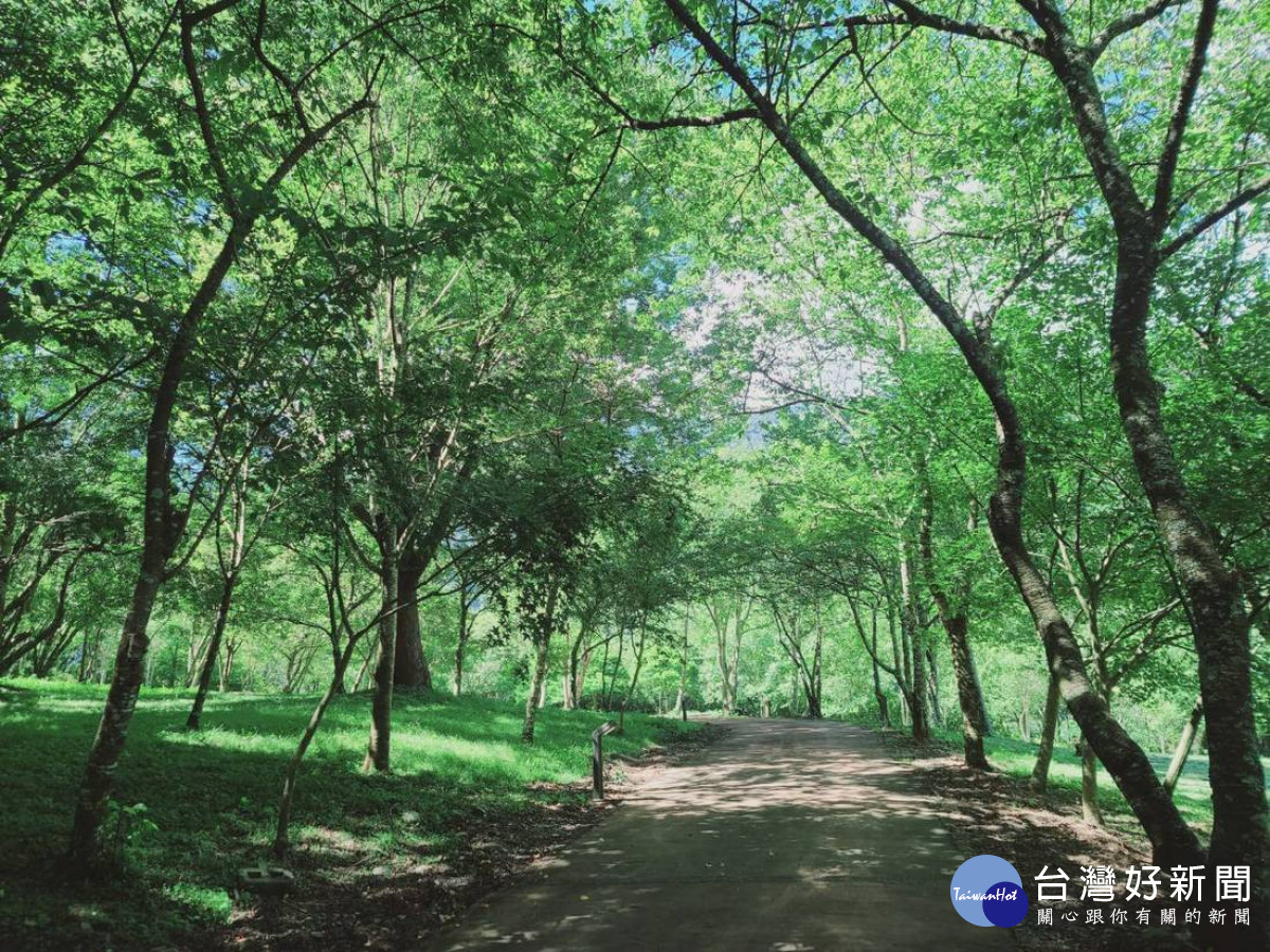 奧萬大國家國家森林遊樂區園區內無重大災情。（圖/林業保育署南投分署提供） 