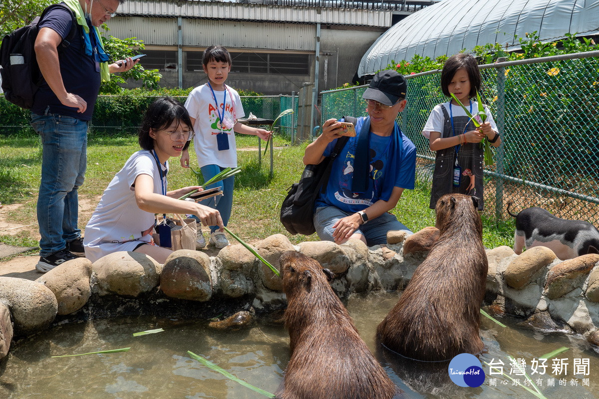 首圖