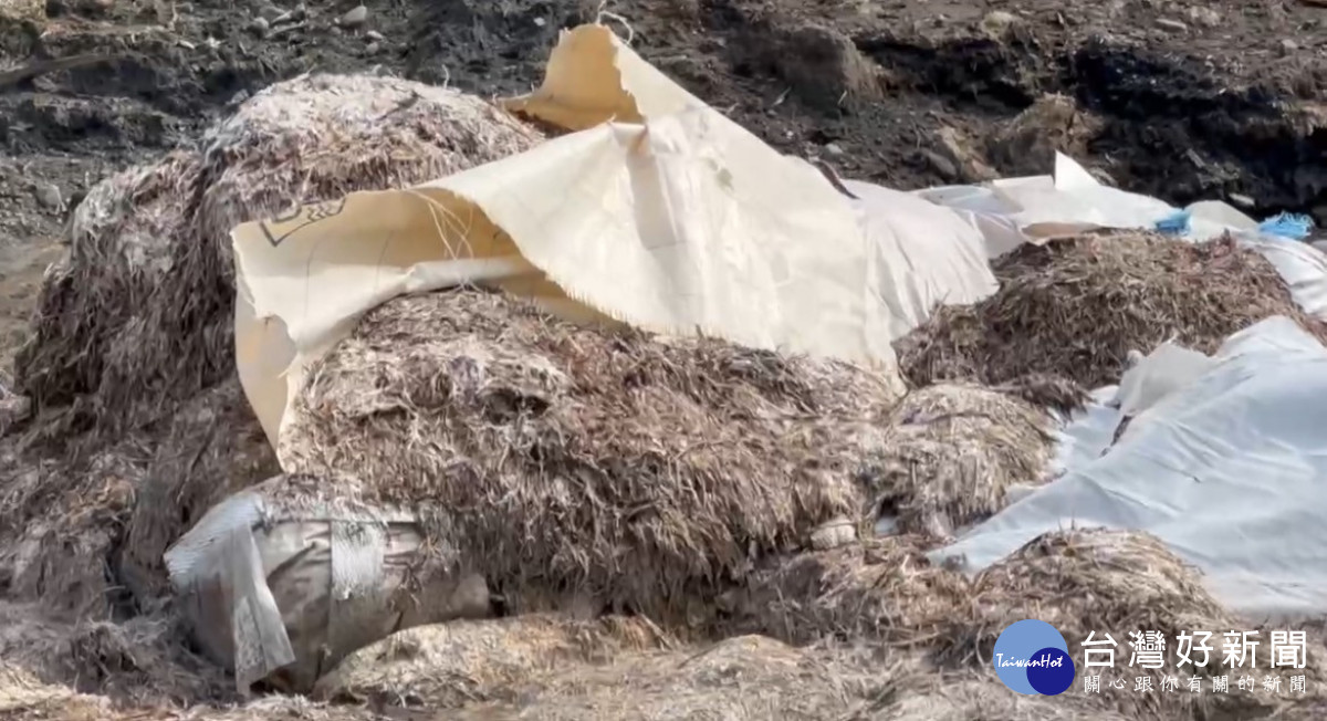 雲林檢警在濁水溪河川地，查獲不法業者傾倒400噸家禽廢渣／警方提供