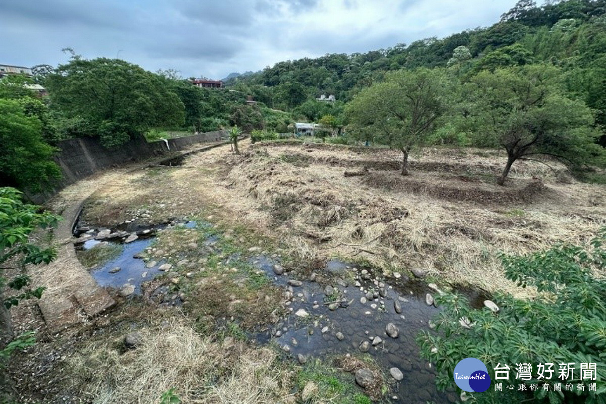 草嶺溪水環境營造工程施工前生態島(池塘荒廢) 。<br />
