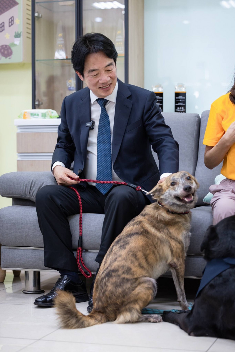 執政百日介紹愛犬「斑斑」　賴清德：100天只是起點，盼帶領民主台灣立足世界