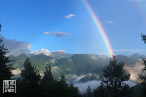 來到雲海之上的觀霧森林，可以聆聽最純淨的自然音、感受微風吹拂。（森之形自然教育團隊提供；邱瑀薰攝影）