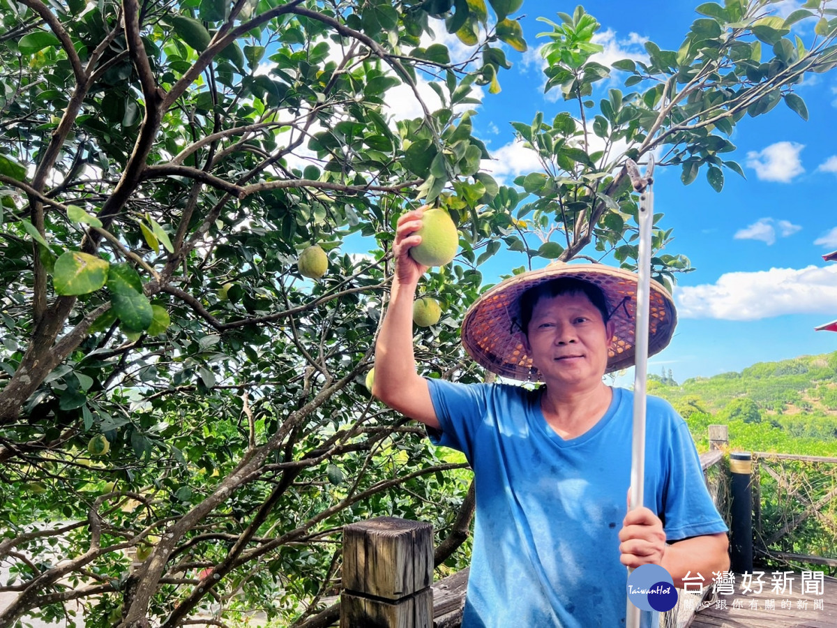 「文旦柚茶」則選用八里在地小農桃樂絲農場的精選柚子熬製