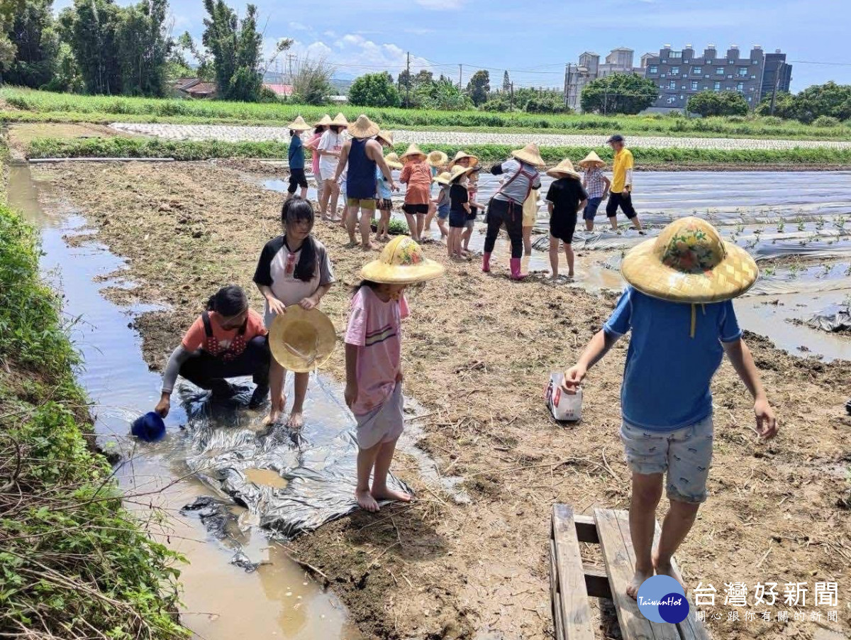 桃竹苗分署首推永續旅遊　楊梅客家「農家樂」邀您共度秋季田園時光 台灣好新聞 第2張