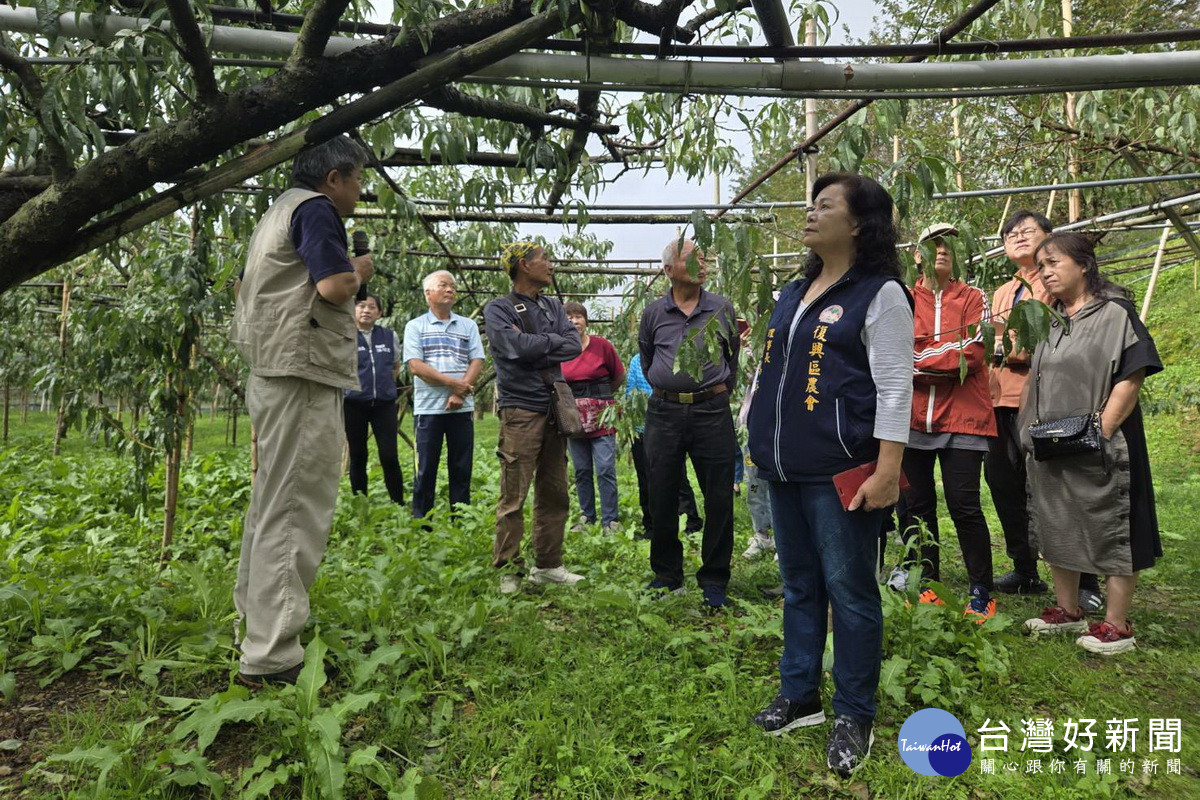 輔導拉拉山果樹產業再升級，桃市農業局舉辦水蜜桃栽培技術診斷研習。