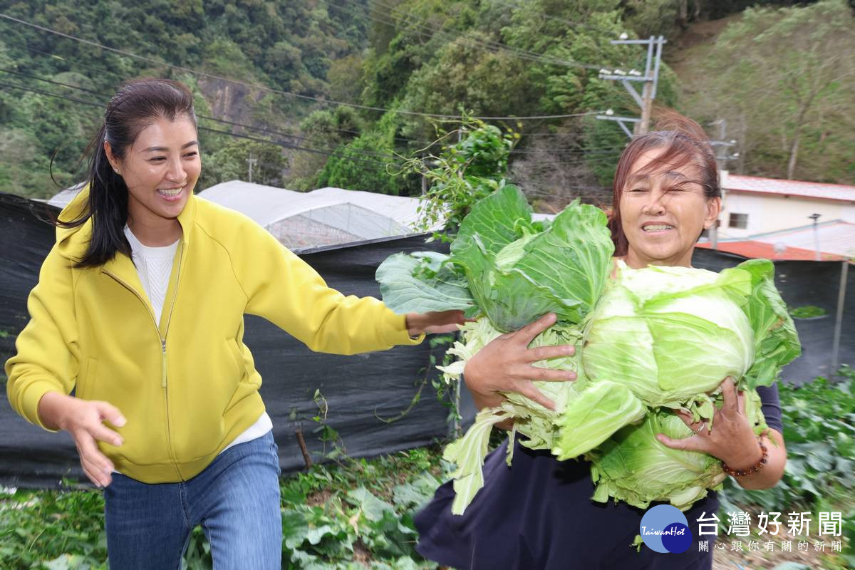 許淑華縣長實地了解農友搶收高麗菜、敏豆等蔬果的情況。（圖/縣府提供）