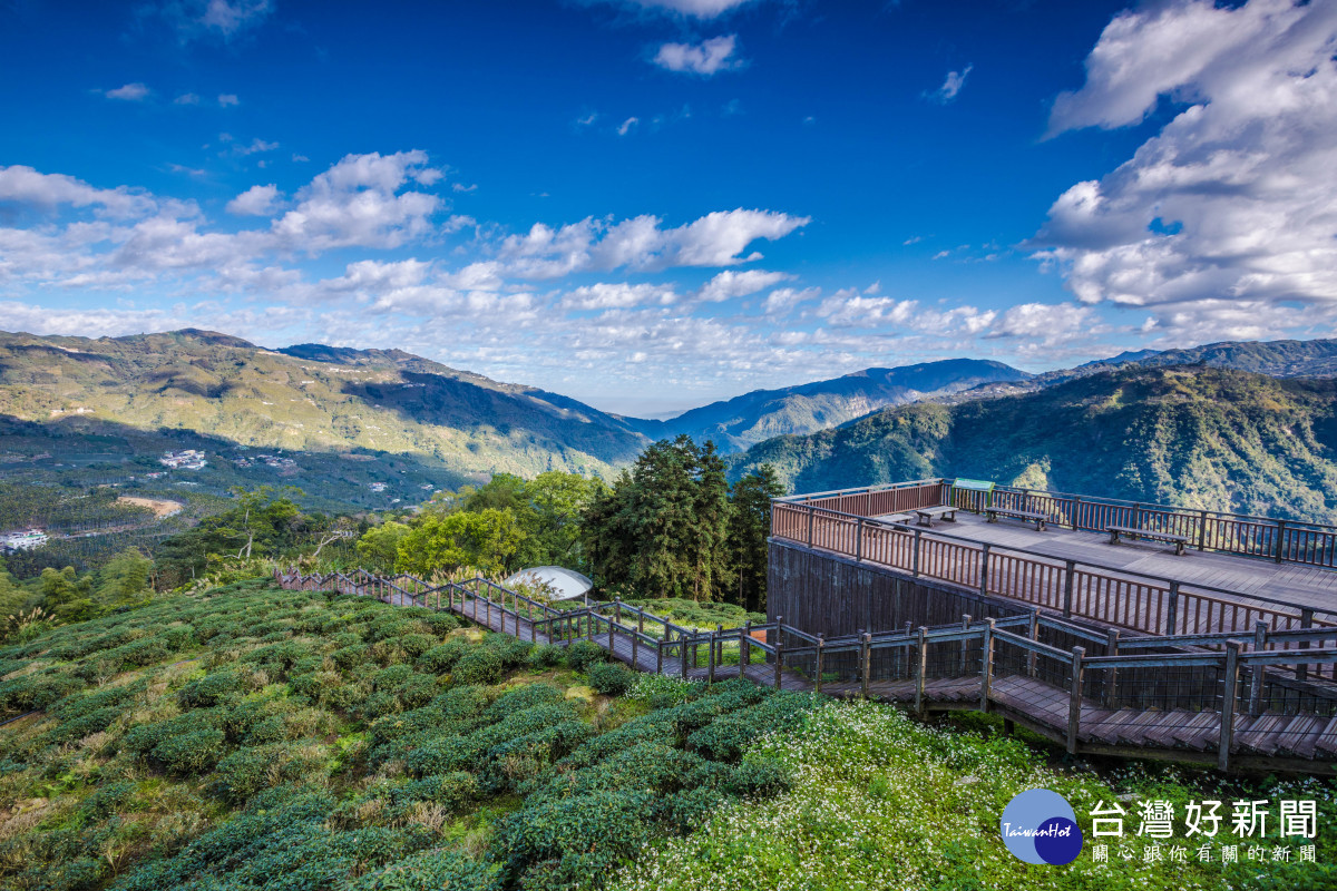 海拔約850公尺的「太興岩步道」輕鬆好走，茶園、山巒風景相當唯美／嘉義縣政府提供