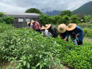 壯世代退而不休　花蓮縣府助力銀髮族再展職涯第二春