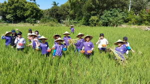 福德國小戶外教育下田體驗讓學生感恩惜食及用永續愛護我們的地球。圖／福德國小提供