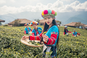 嘉義縣文化觀光局攜手旅遊電商kkday推出電子旅遊套票，10月份推出寵粉行動，線上購票輸入折扣碼可享5折優惠／嘉義縣府提供