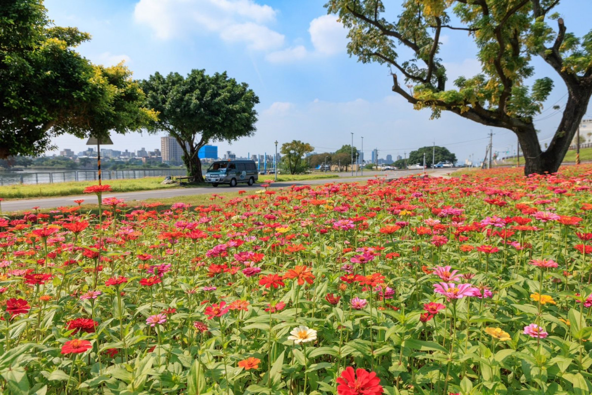 （圖／台北市水利處提供）