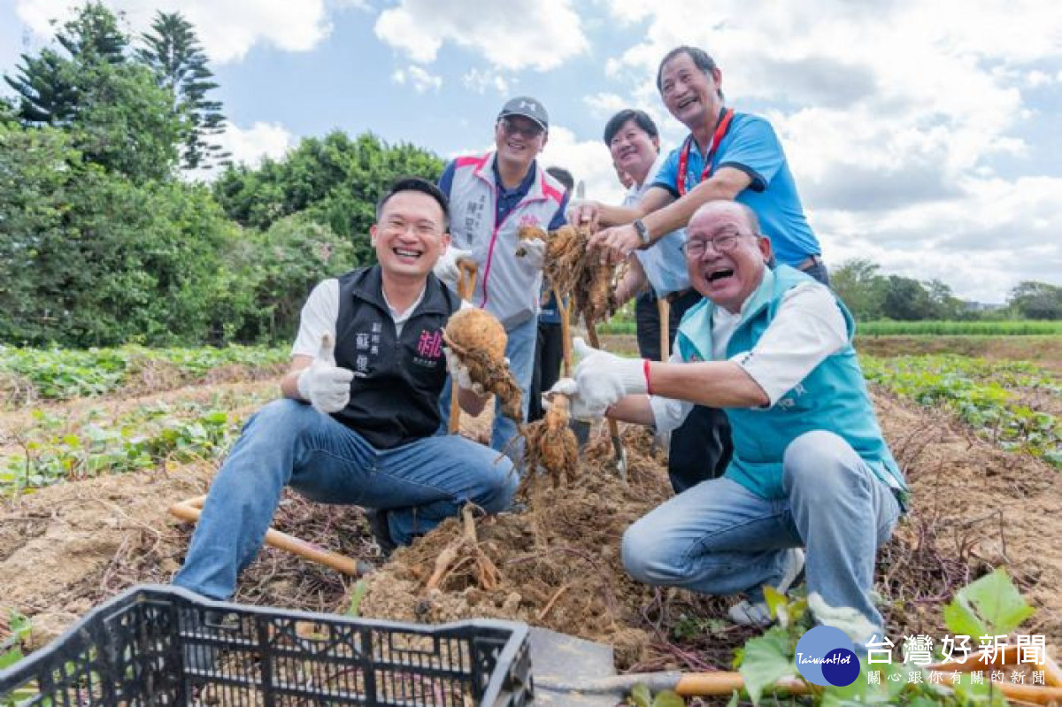 蘇副市長力推桃園優質甘藷。