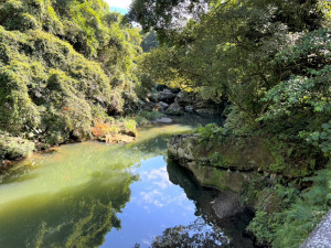 鱷魚岩