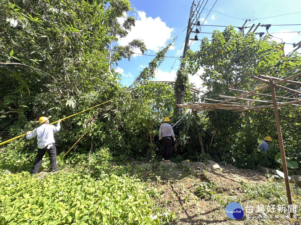 北西區處於服務轄區連日執行預防性樹枝修剪作業，降低樹木壓倒電線造成停電發生可能