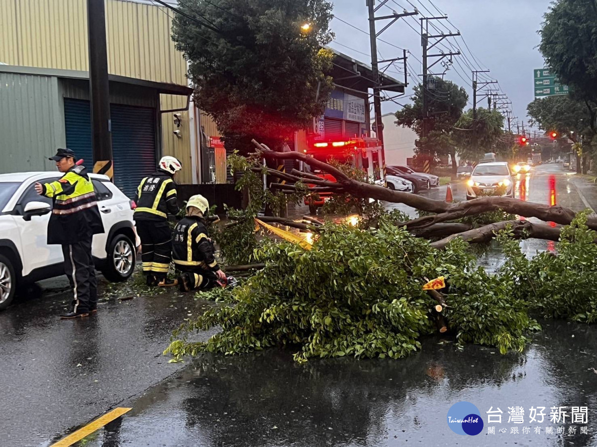 路樹倒塌事件，廣興派出所員警不畏風雨指揮交通。