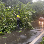 康芮強颱來襲，龍警冒雨鋸樹交管。