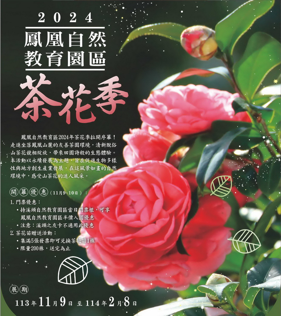 鳳凰自然教育園區茶花季11/9登場　五彩繽紛茶花齊綻放 台灣好新聞 第3張