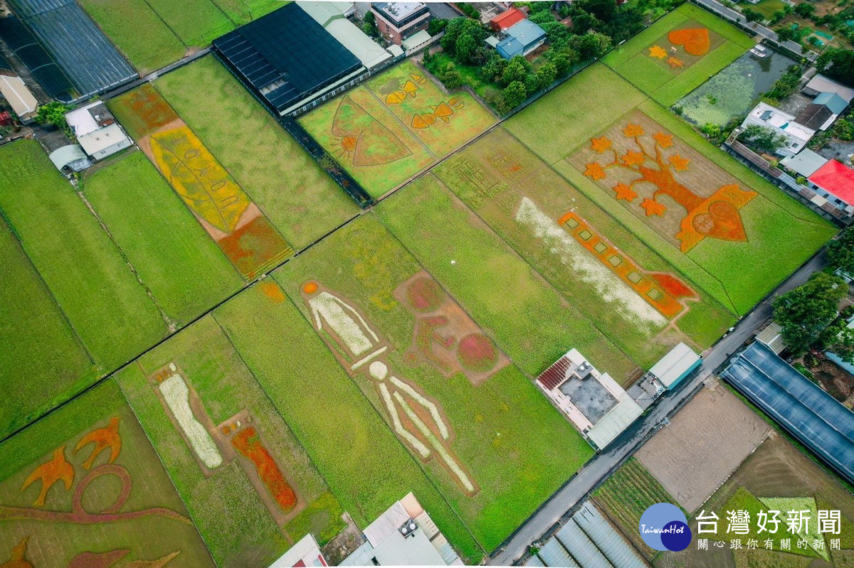 2024大溪水岸花卉農遊「花彩盛艷」，將於11/16日盛大開幕。<br />
