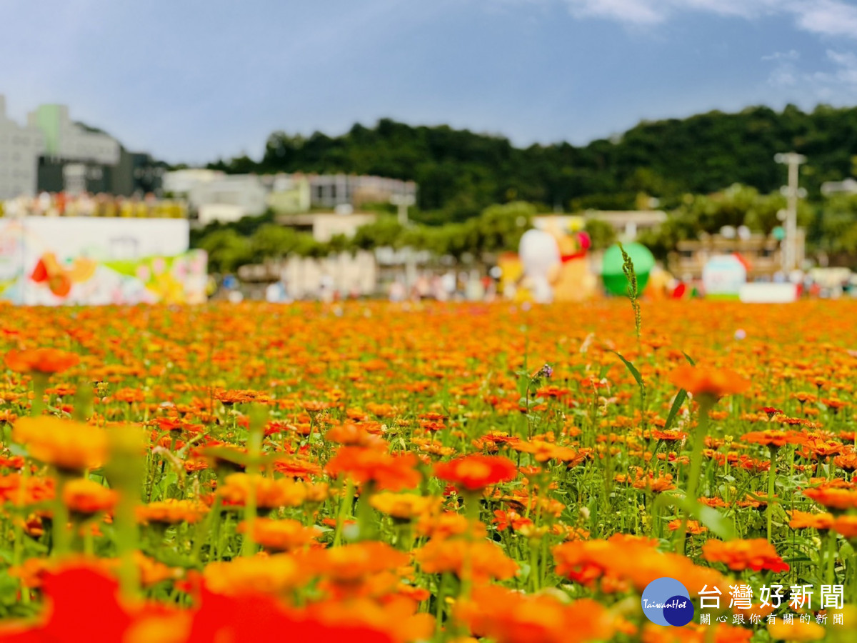 大溪水岸花卉農遊活動。