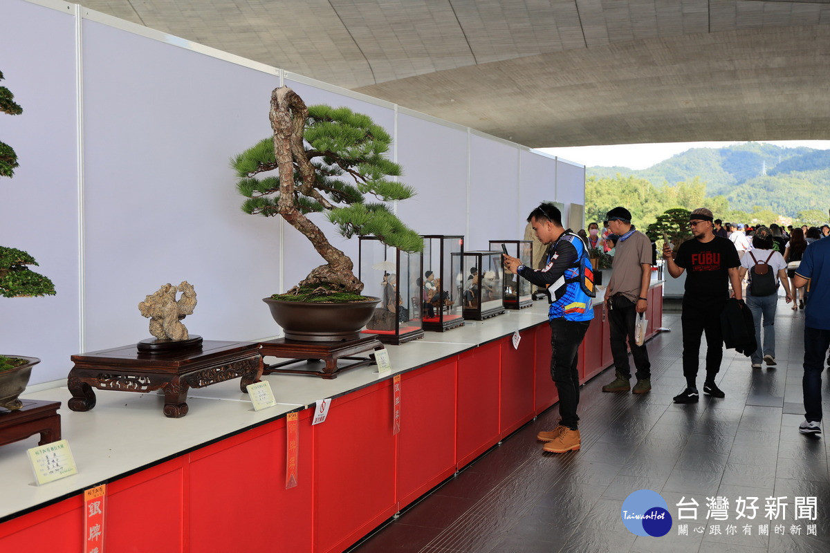 樹石創作盆栽展，吸引許多遊客駐足欣賞。（圖/縣府提供）