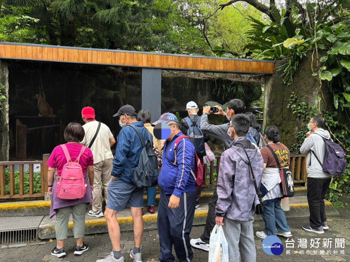 桃療成人日間學員近距離觀察動物。(桃療提供)