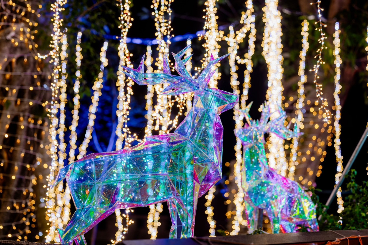 谷關公園以「白雪聖誕村」主題，聖誕樹雪人麋鹿造型如夢似幻。