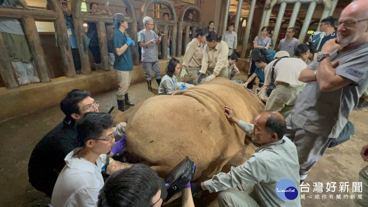 野生動物保育獲國際肯定　六福村成為東南亞SEAZA協會會員