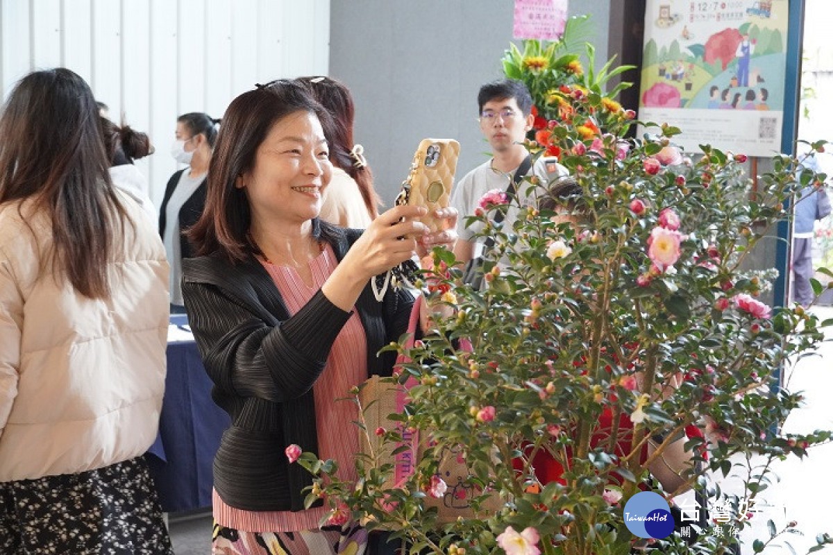 茶花盛開季節，「中華茶花祭」邀請民眾共襄盛舉認識茶花產業。