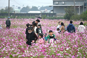 2024嘉義花海生活節今天正式開幕／陳致愷攝影