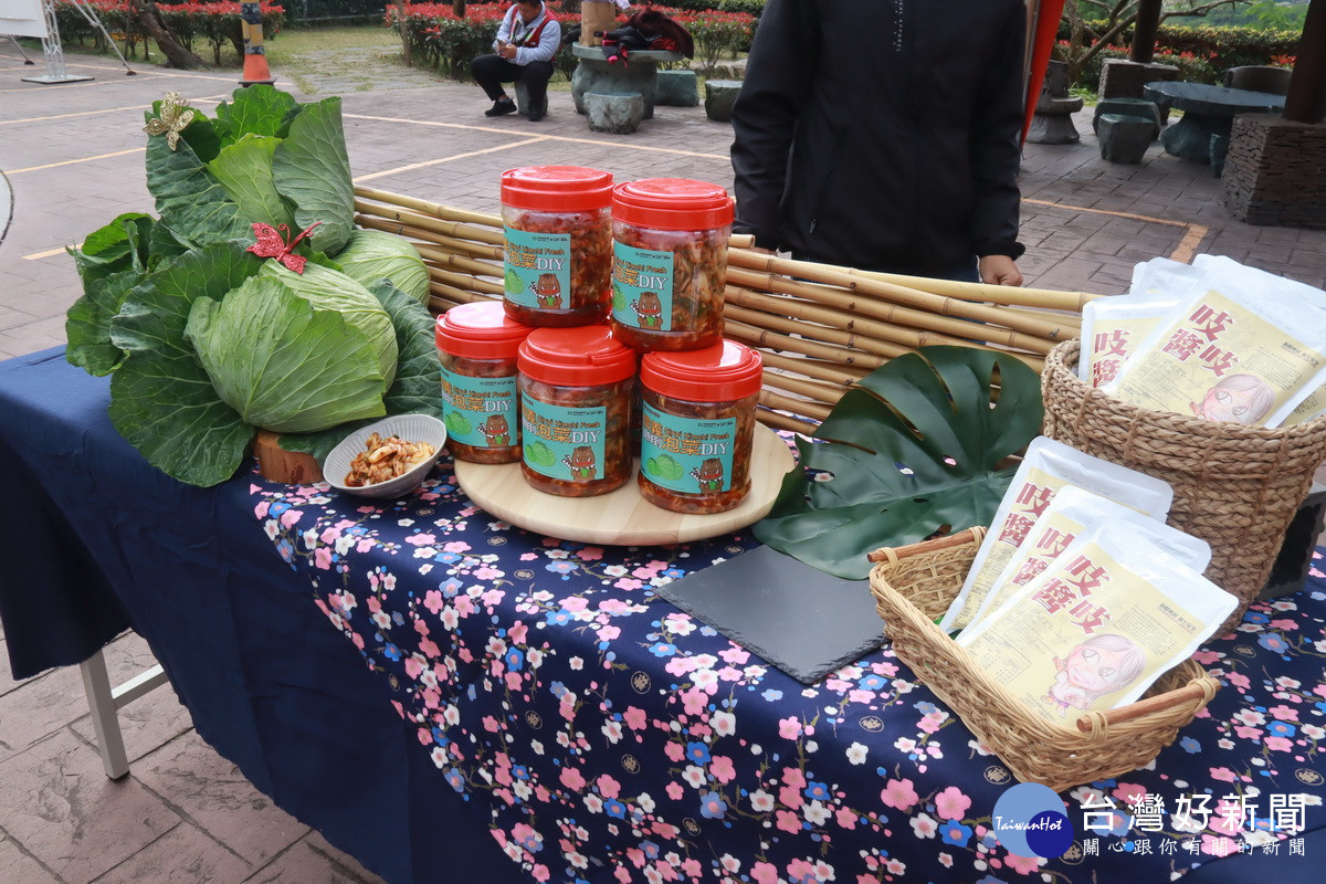 高山高麗菜加吱吱醬DIY泡菜美味至極。（記者扶小萍攝）