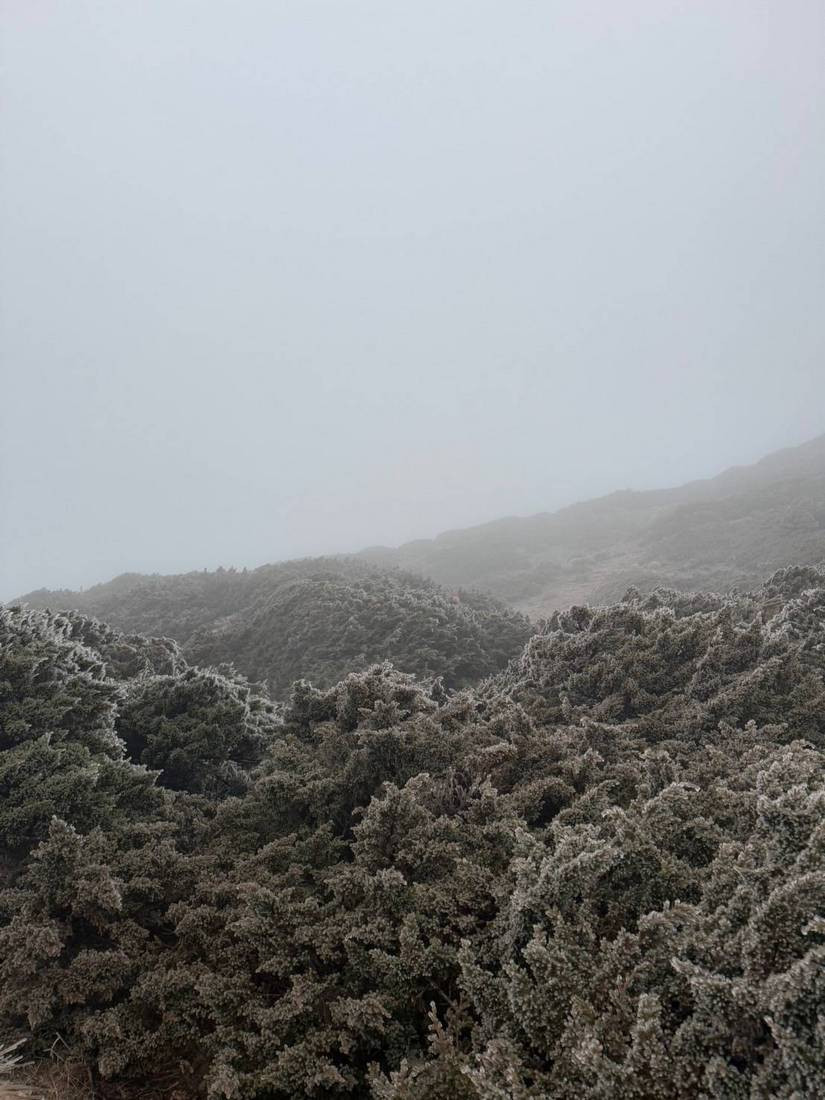 圓峰營地霧淞(山友/玉管處/提供)<br /><br />
<br /><br />
