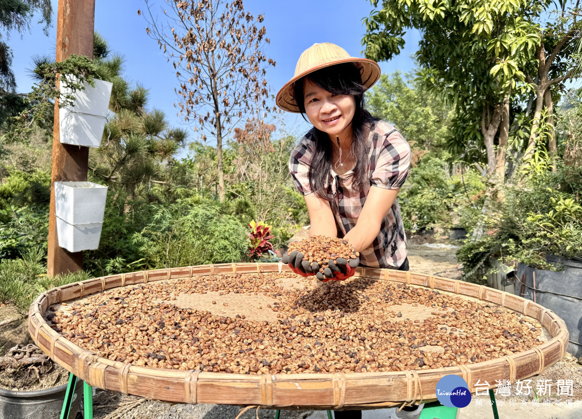 王素珍憑藉著對咖啡的熱愛與勞動部產投在職課程加持，成功在阿里山創設自己的咖啡事業／勞動部雲嘉南分署提供