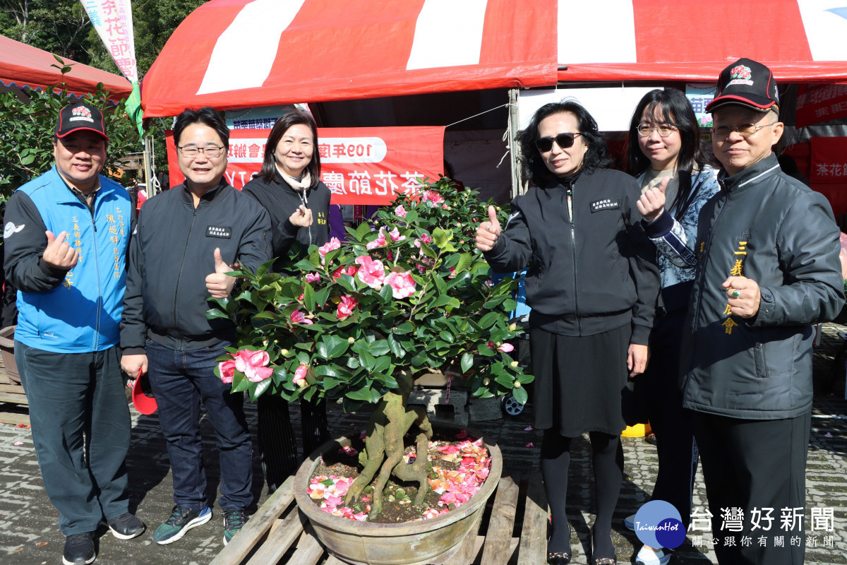 三義茶花節慶登場　苗副縣長盼建立品牌擴大行銷