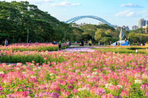 （圖／台北市府工務局水利工程處）