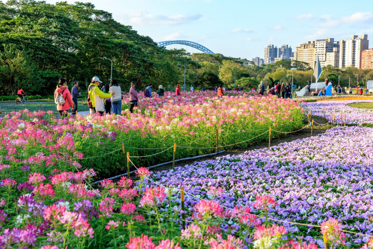 （圖／台北市府工務局水利工程處）