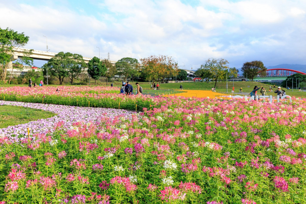 （圖／台北市府工務局水利工程處）