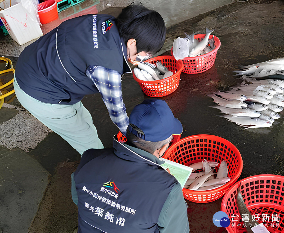 農業局海資所執行源頭港口漁獲抽驗