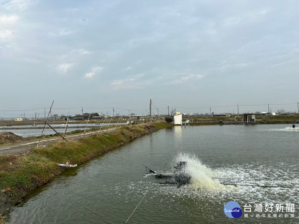 ▲強烈大陸冷氣團來襲，高市府籲養殖業者提前做好防寒措施。