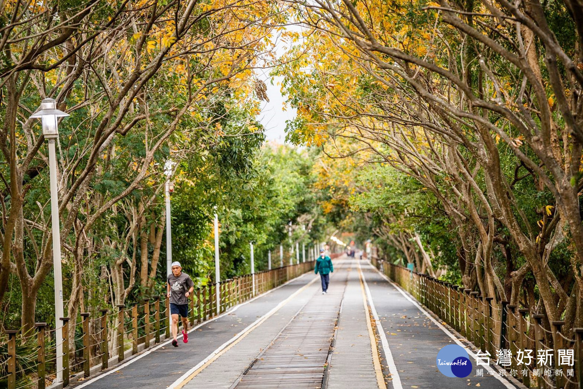 嘉油鐵馬道近紅瓦厝站成為金黃隧道／嘉義市府提供