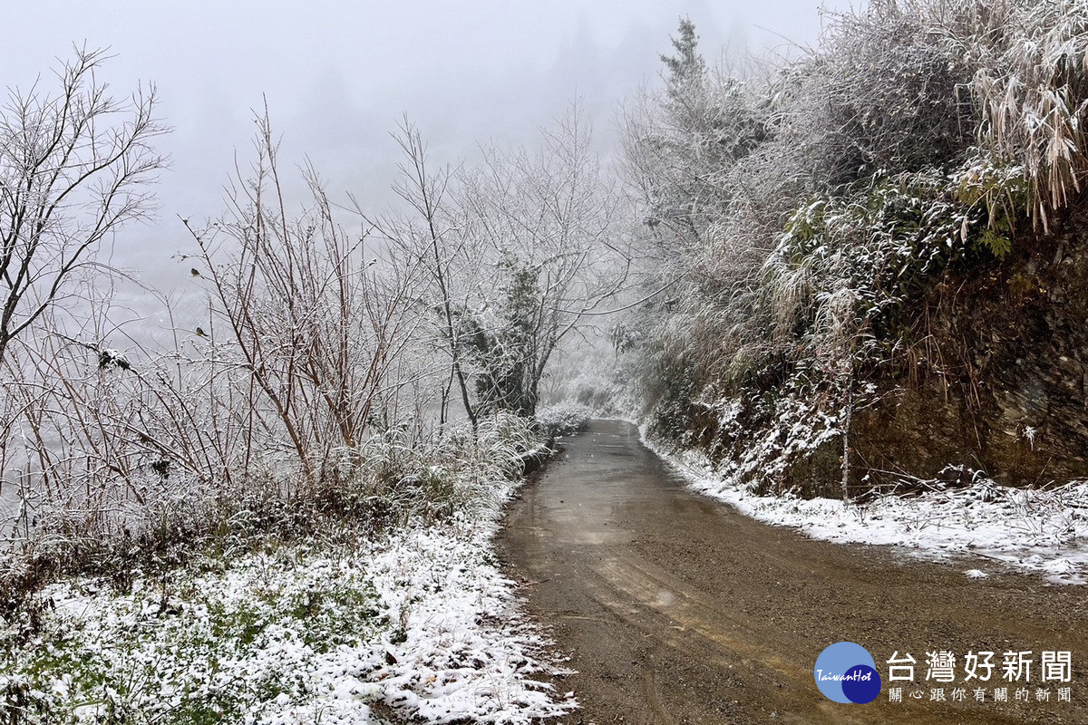 拉拉山降下2025年初雪，觀旅局提供線上賞雪，呼籲追雪注意保暖 與安全。<br />
