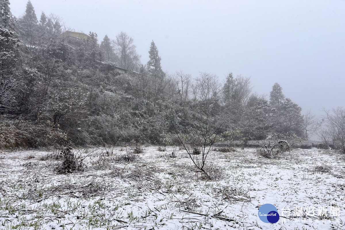 拉拉山降下2025年初雪，觀旅局提供線上賞雪，呼籲追雪注意保暖 與安全。<br />
