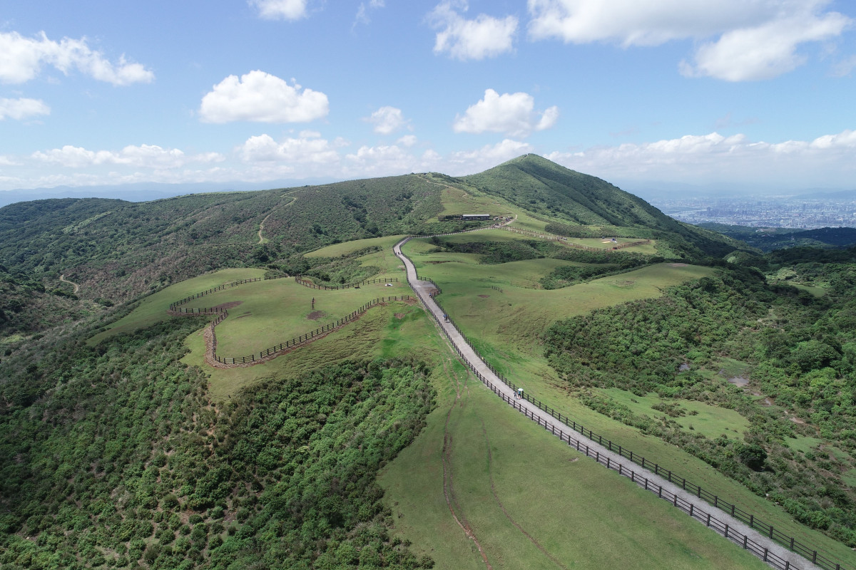 陽明山國家公園擎天崗草原中央步道（圖／內政部國家公園署）