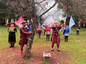 長老對櫻花說好話鼓勵櫻花，巫師祈穰祝福櫻花開好開滿。（九族文化村提供）