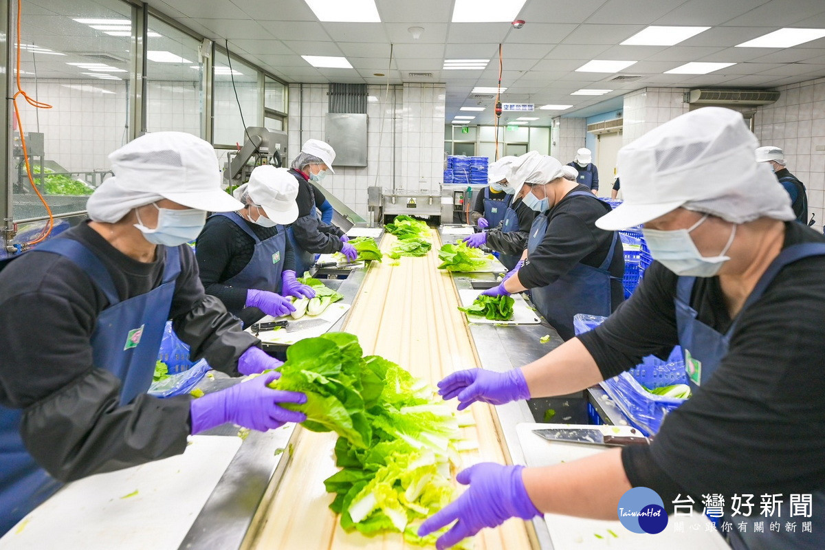 「桃園市營養午餐有機蔬菜截切場」作業情形。