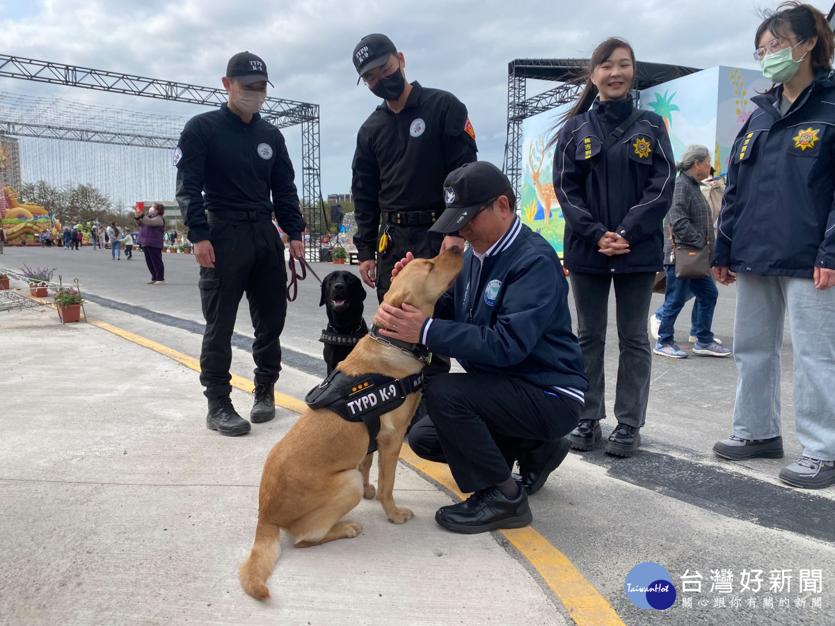 桃園燈會警犬負責場檢任務，協助犯罪預防宣導與民眾互動。