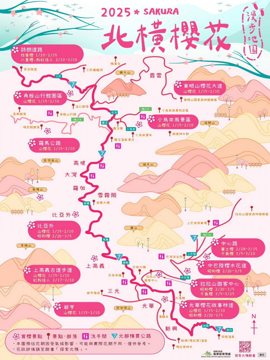 桃園北橫櫻花季登場，桃市府觀旅局更新「2025櫻花漫步地圖」。